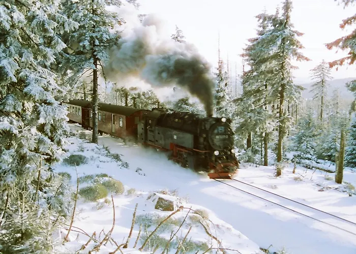 & Campingfaesser Am Kunstteich Σπίτι διακοπών