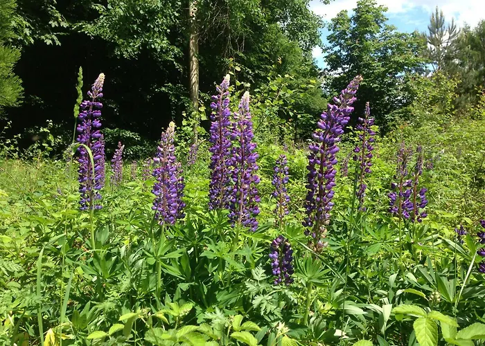 Σπίτι διακοπών & Campingfaesser Am Kunstteich